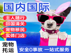 南宁机场物流国际宠物托运 【国